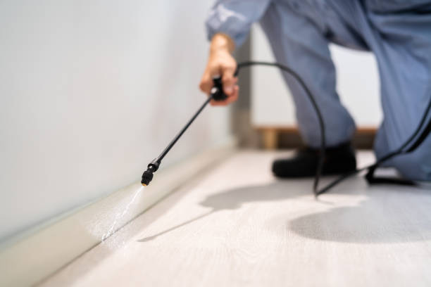 Licensed Cockroach Control service in Detroit, MI - Nex Pest Control