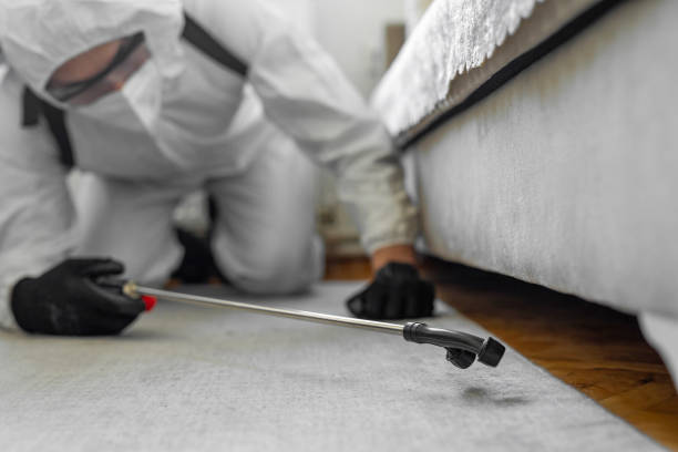 Professional Cockroach Control technician working in Detroit, MI